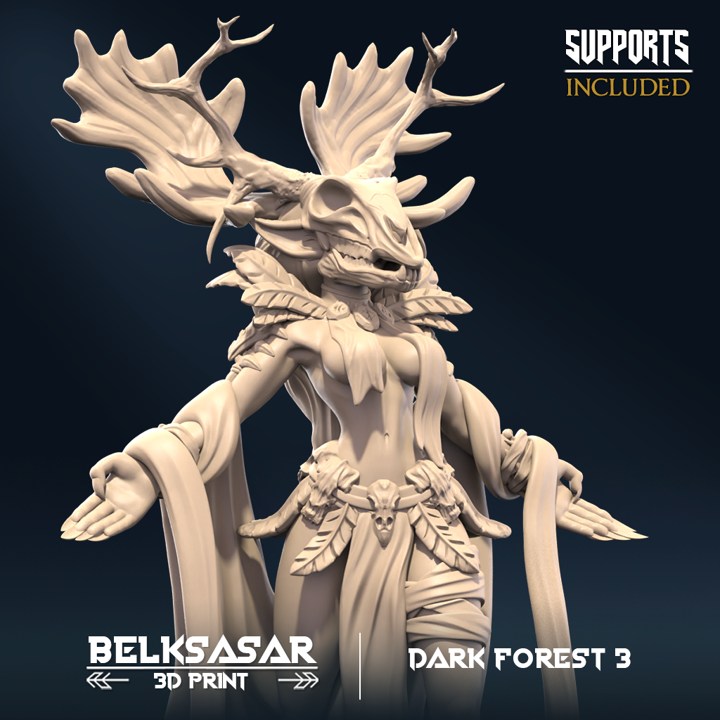 Belksasar - Forest Prowlers - Dark Forest 3 2024 March