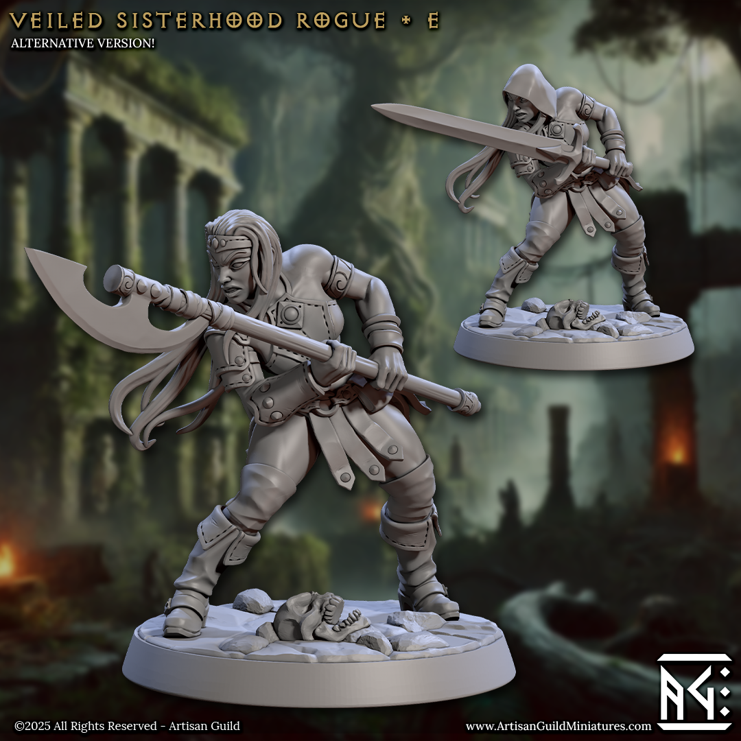 Artisan Guild - Veiled Sisterhood Rogue E - Veiled Sisterhood 2025 March