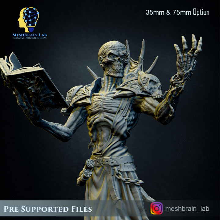 MeshBrain Lab - Lord Lich Vecna