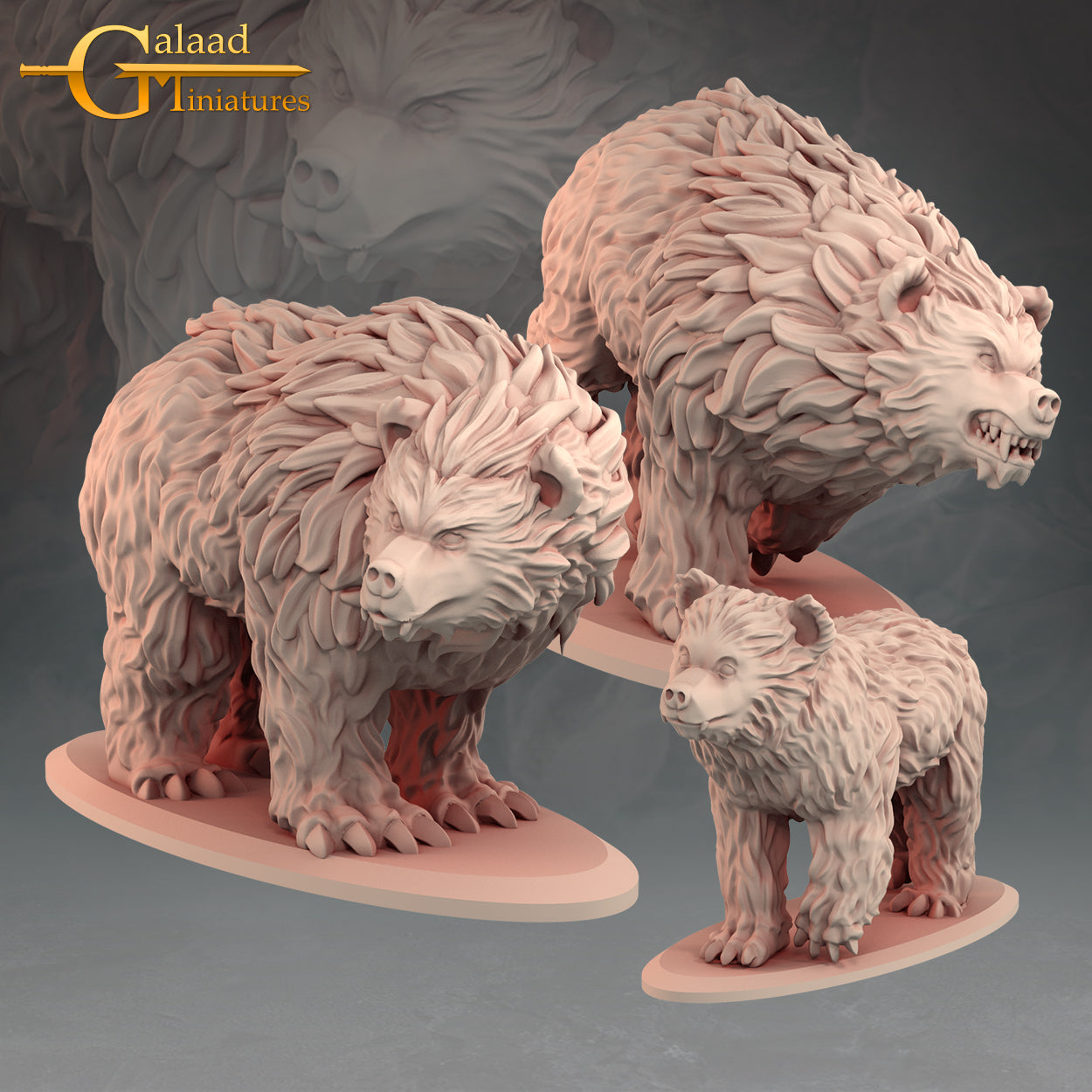 Galaad - Into the woods