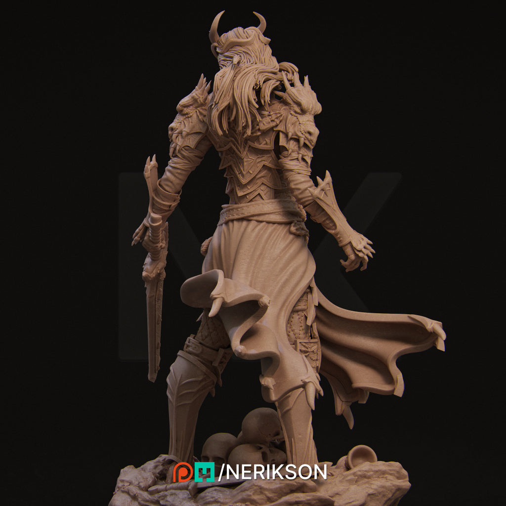 Nerikson - Aleehra The Dragon Slayer 35mm, 75mm, 140mm