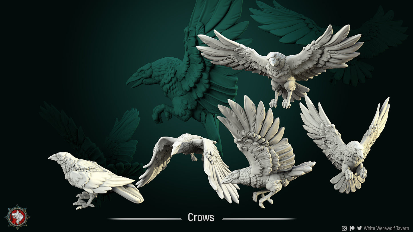 White Werewolf Tavern - Crows