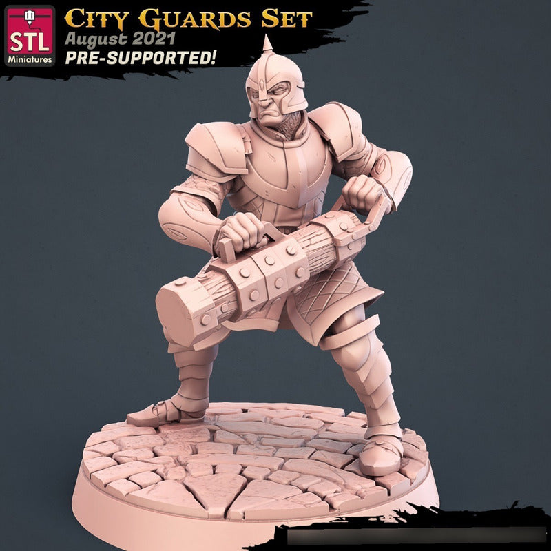 STL Miniatures - City Guards D - Assasins and City Guards