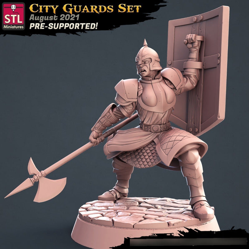 STL Miniatures - City Guards C - Assasins and City Guards