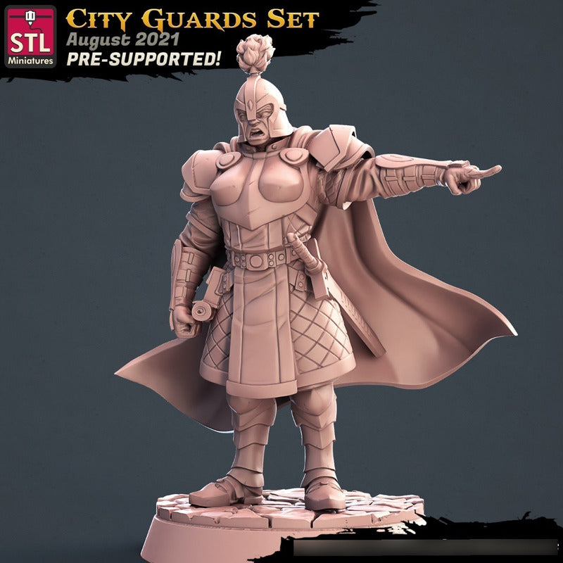 STL Miniatures - City Guards Commander - Assasins and City Guards