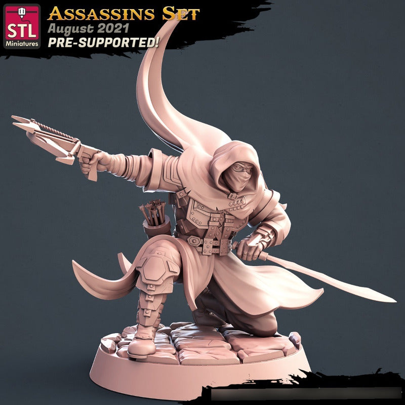 STL Miniatures - Assassin B - Assasins and City Guards
