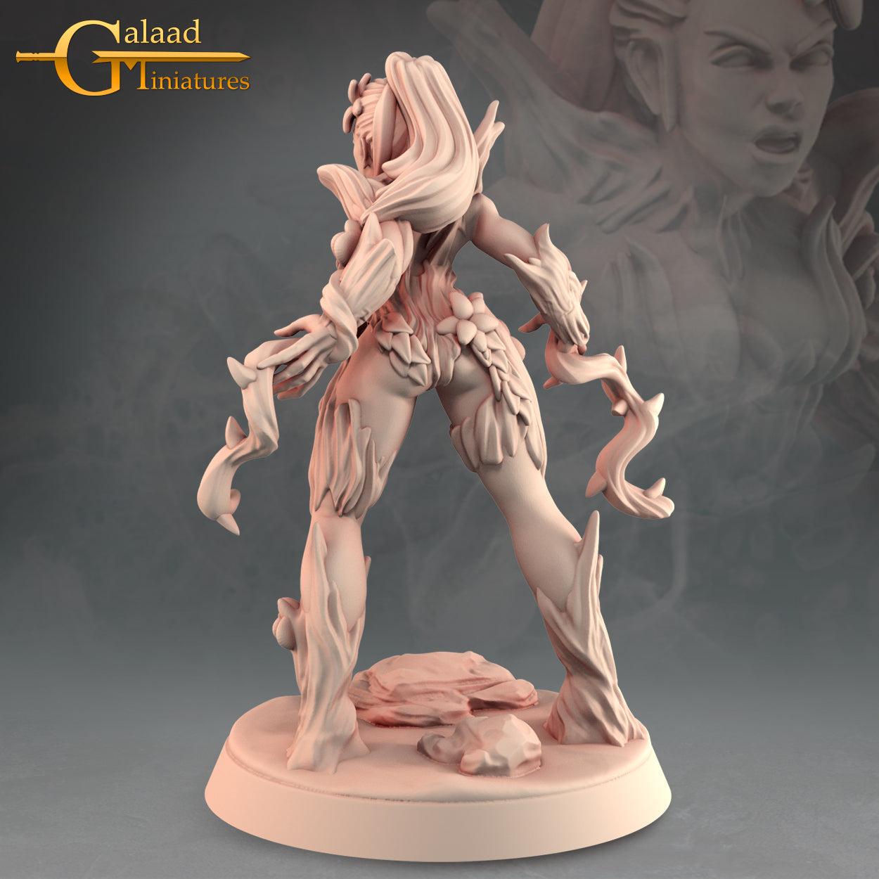 Galaad - Into the woods