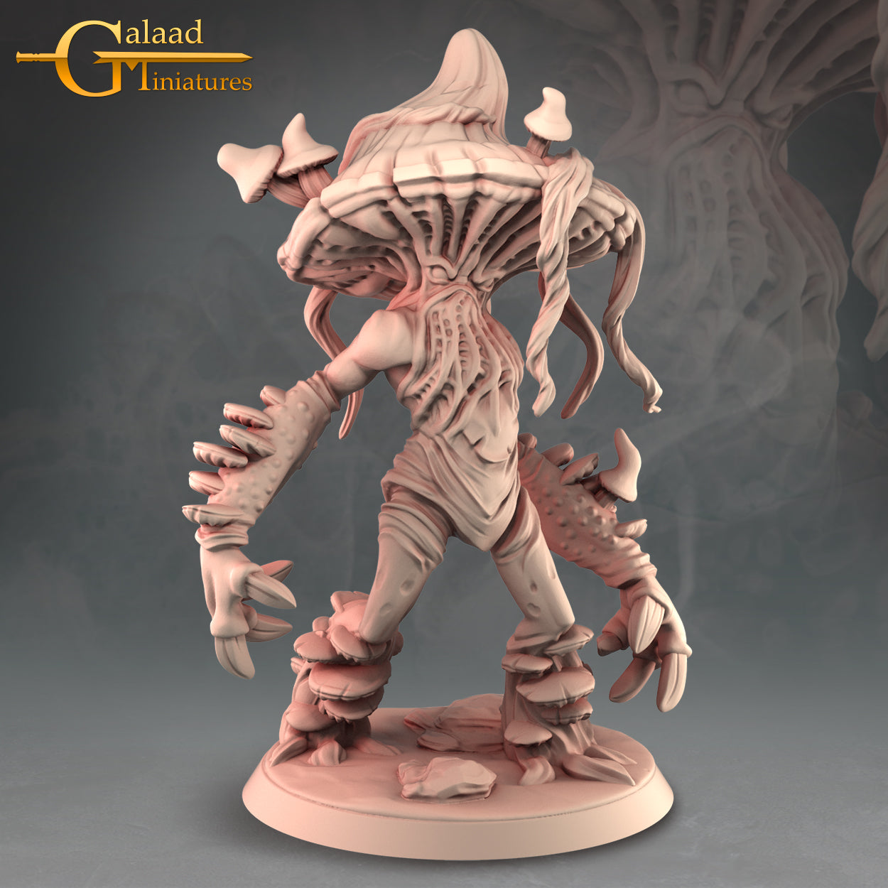 Galaad - Into the woods