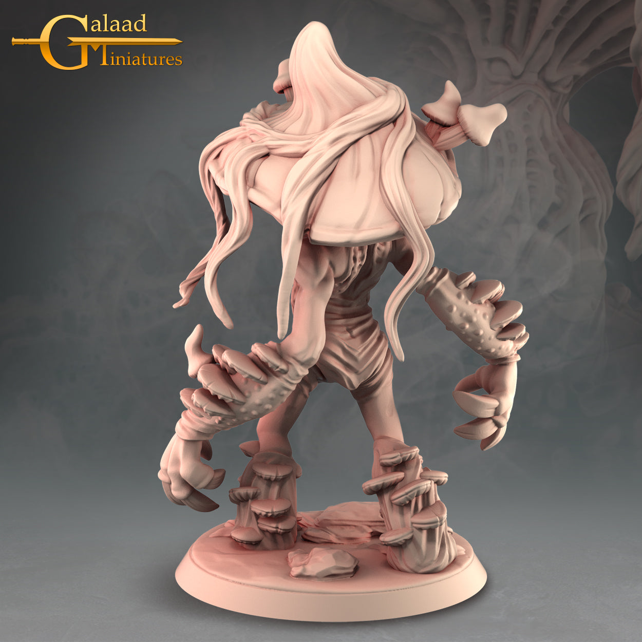Galaad - Into the woods