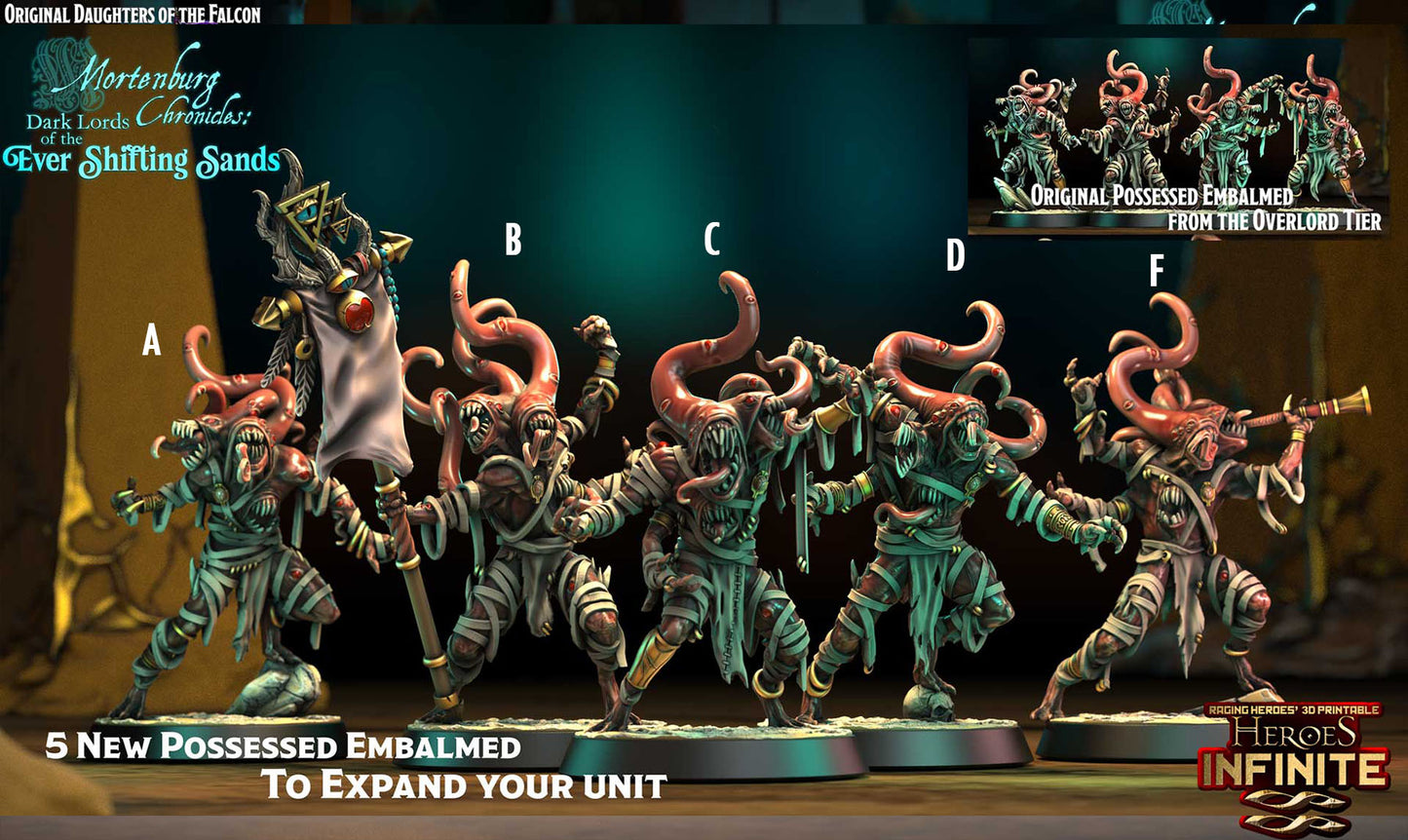 Heroes Infinite Raging Heores - The Possessed Embalmed Extras , Tzeentch Disciples - Mortenburg Chronicles 2025 April
