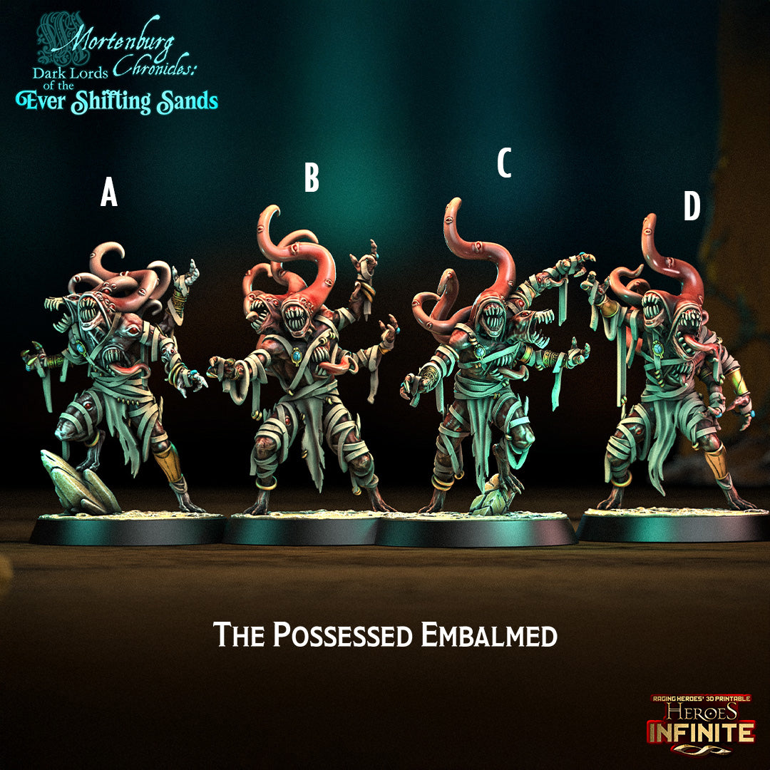 Heroes Infinite Raging Heores - The Possessed Embalmed, Tzeentch Disciples - Mortenburg Chronicles 2025 April