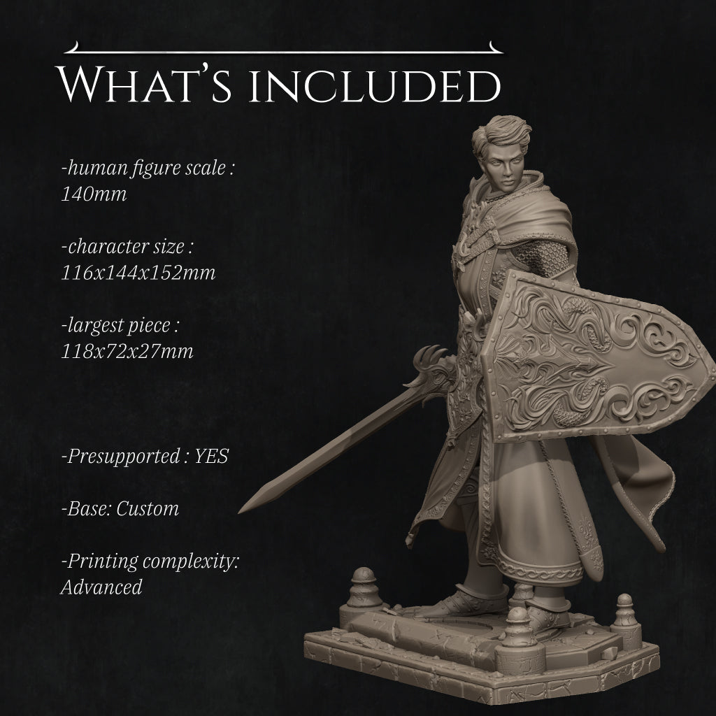 Nerikson - Aaron the Paladin Knight 35mm, 75mm, 140mm