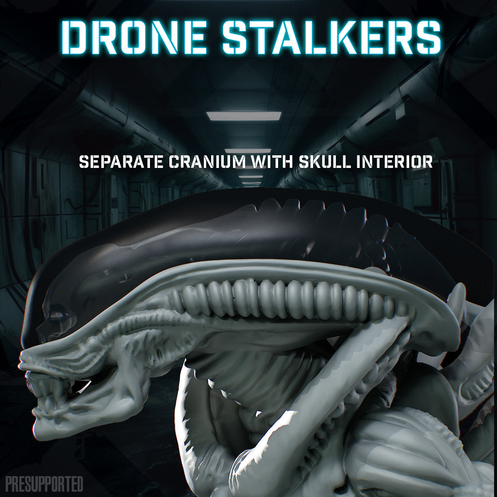 Skullforge - Alien Drone Stalker 2024 Agust Release
