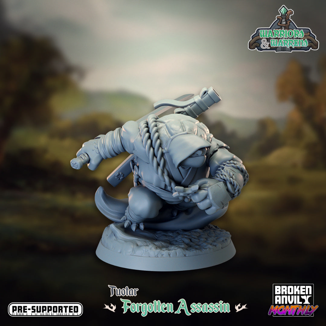 Broken Anvil - Tortle, Forgotten Assassin - Warriors and Warrens Tortles Tuotar