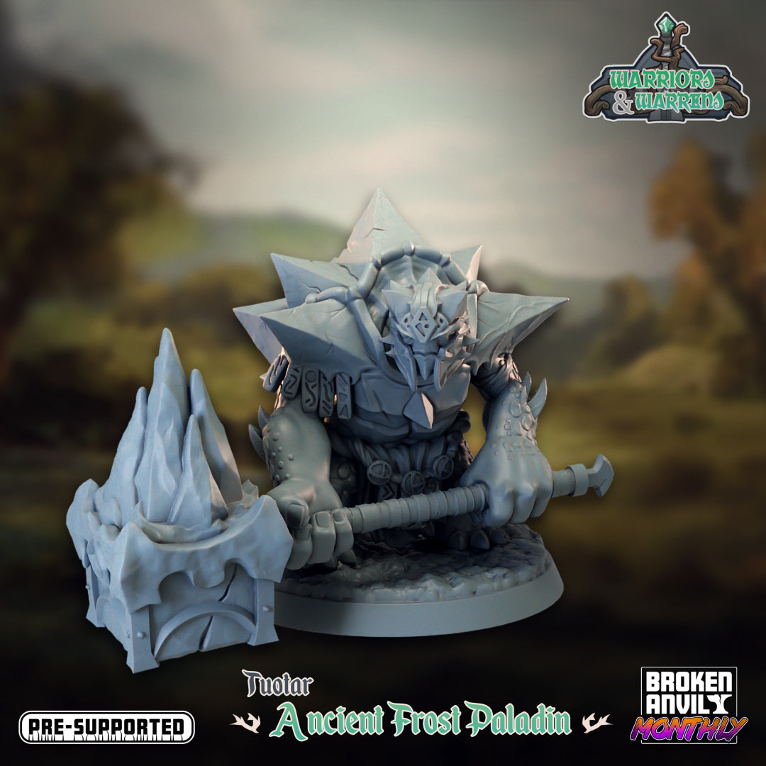 Broken Anvil - Tortle, Ancient Frost Paladin - Warriors and Warrens Tortles Tuotar