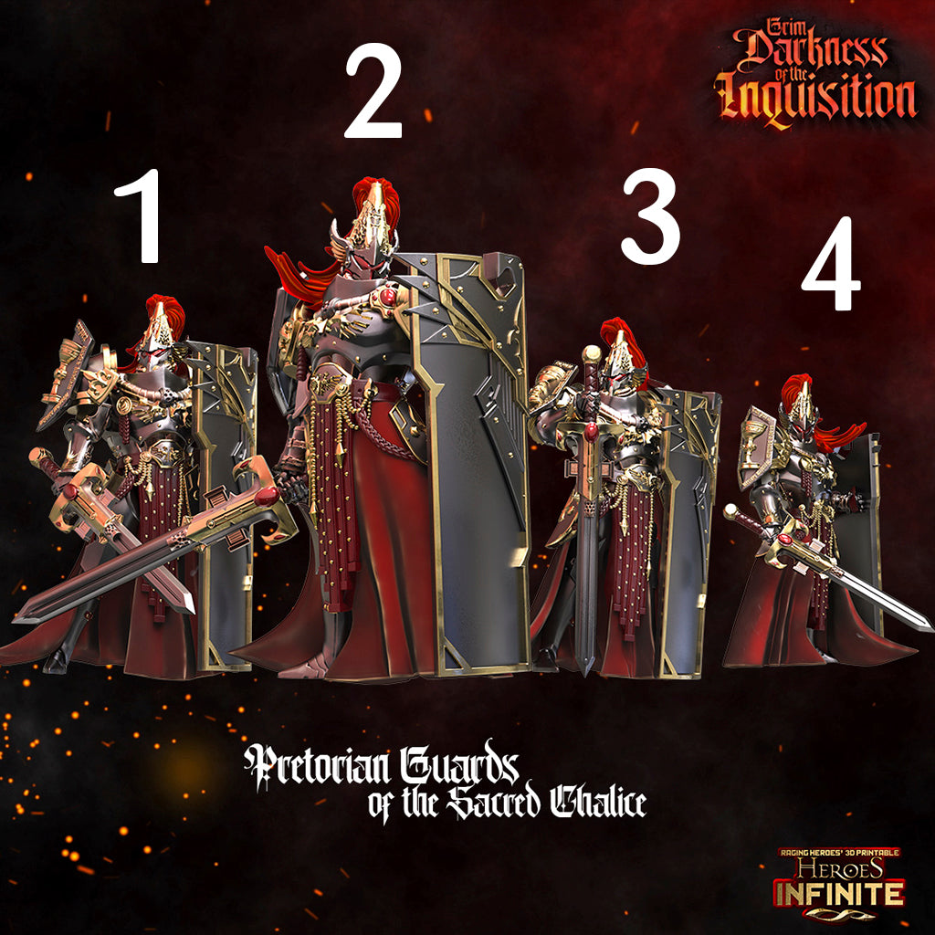Heroes Infinite Raging Heores - Pretorian Guards of the Sacred Chalice, Custodes - Grim Darkness of the Inquisition #36