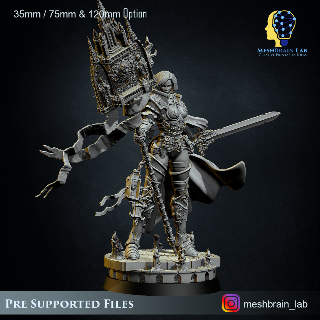 MeshBrain Lab - Battle Sister Superior Collector's edition 35mm/ 75mm & 120mm