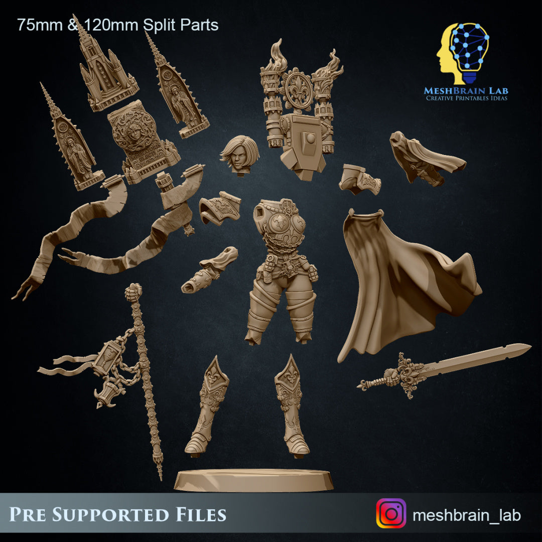 MeshBrain Lab - Battle Sister Superior Collector's edition 35mm/ 75mm & 120mm
