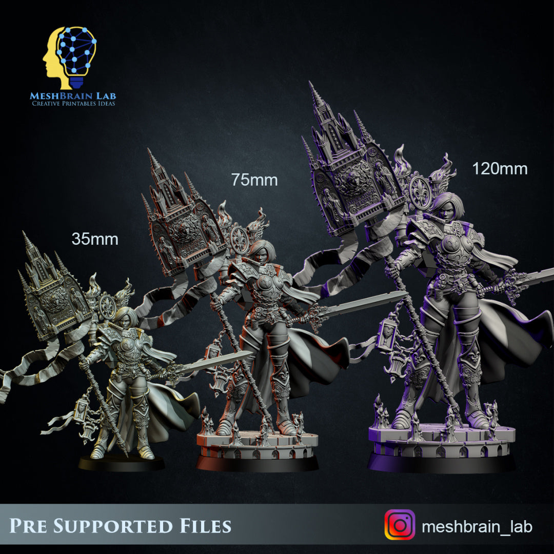 MeshBrain Lab - Battle Sister Superior Collector's edition 35mm/ 75mm & 120mm
