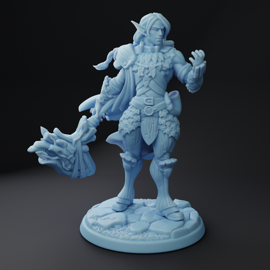 Twin Goddess Miniatures - Phaden Elf Paladin - Oaken Hollow Heroes 2022 September