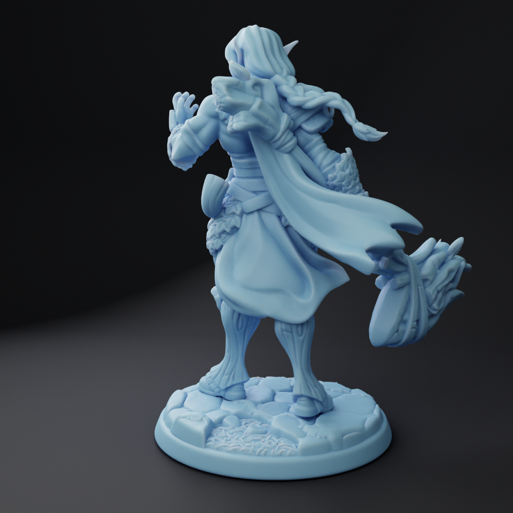 Twin Goddess Miniatures - Phaden Elf Paladin - Oaken Hollow Heroes 2022 September