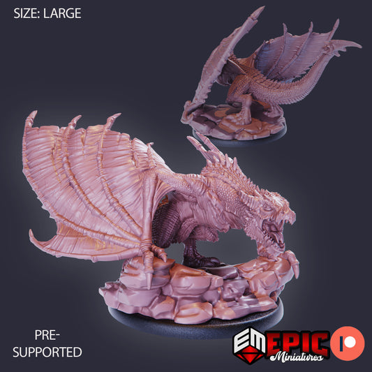 Epic Miniatures - Draconic Wyvern #1145 - Sky Dominion - 2024 August #32