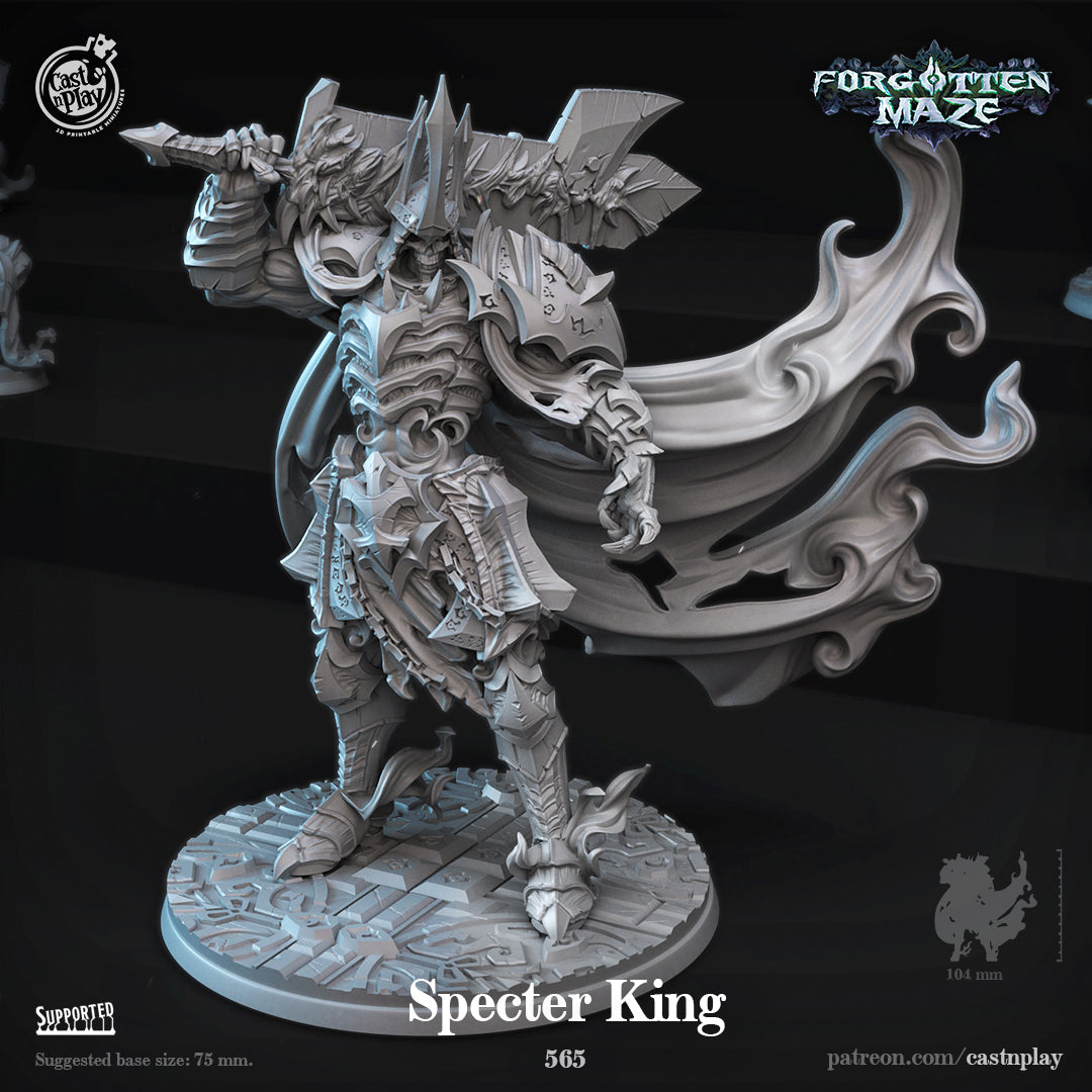 Cast n Play - Specter King - Forgotten Maze 2022 August