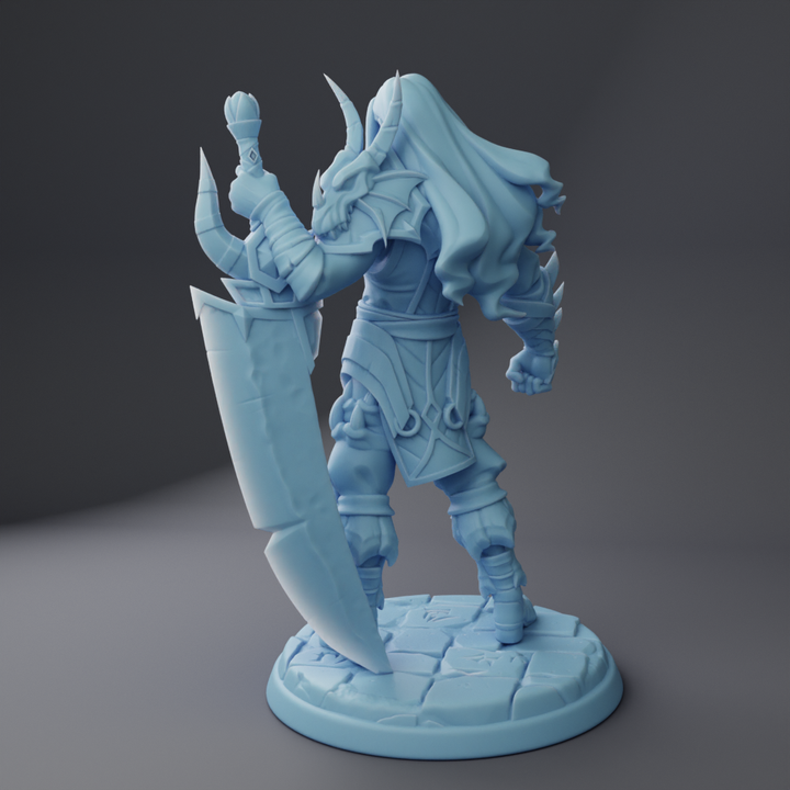Twin Goddess Miniatures - Caldormu, The Dragon Knight - 2025 February