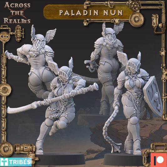 Across The Realms - Paladin Nun