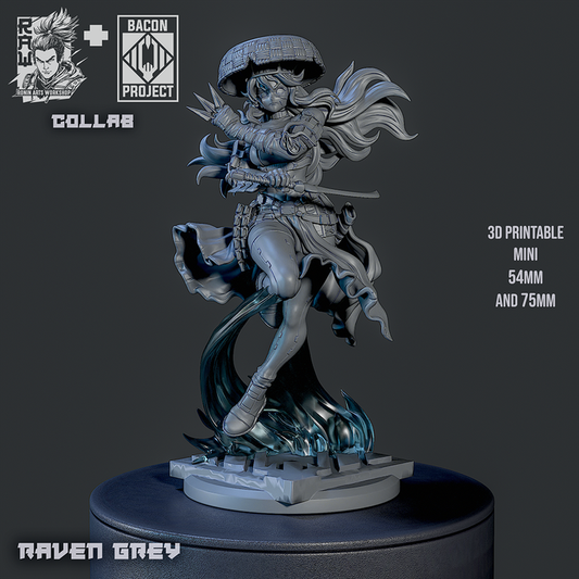 Ronin Arts - Raven Grey, Female Ronin - 2025 March 35mm