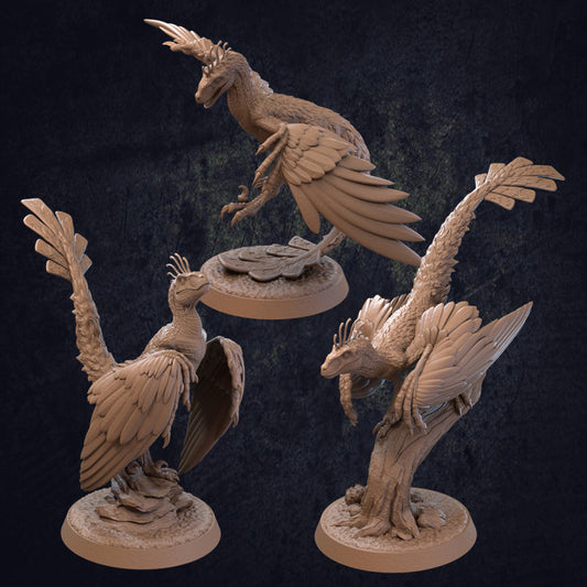 Dragons Trappers Lodge - Flying Raptors (Medium) - 2021 April