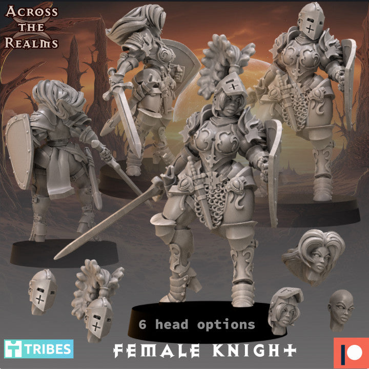 Across The Realms - Female Knight - Terror in the Barrens 2023 July