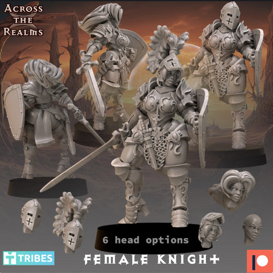 Across The Realms - Female Knight - Terror in the Barrens 2023 July
