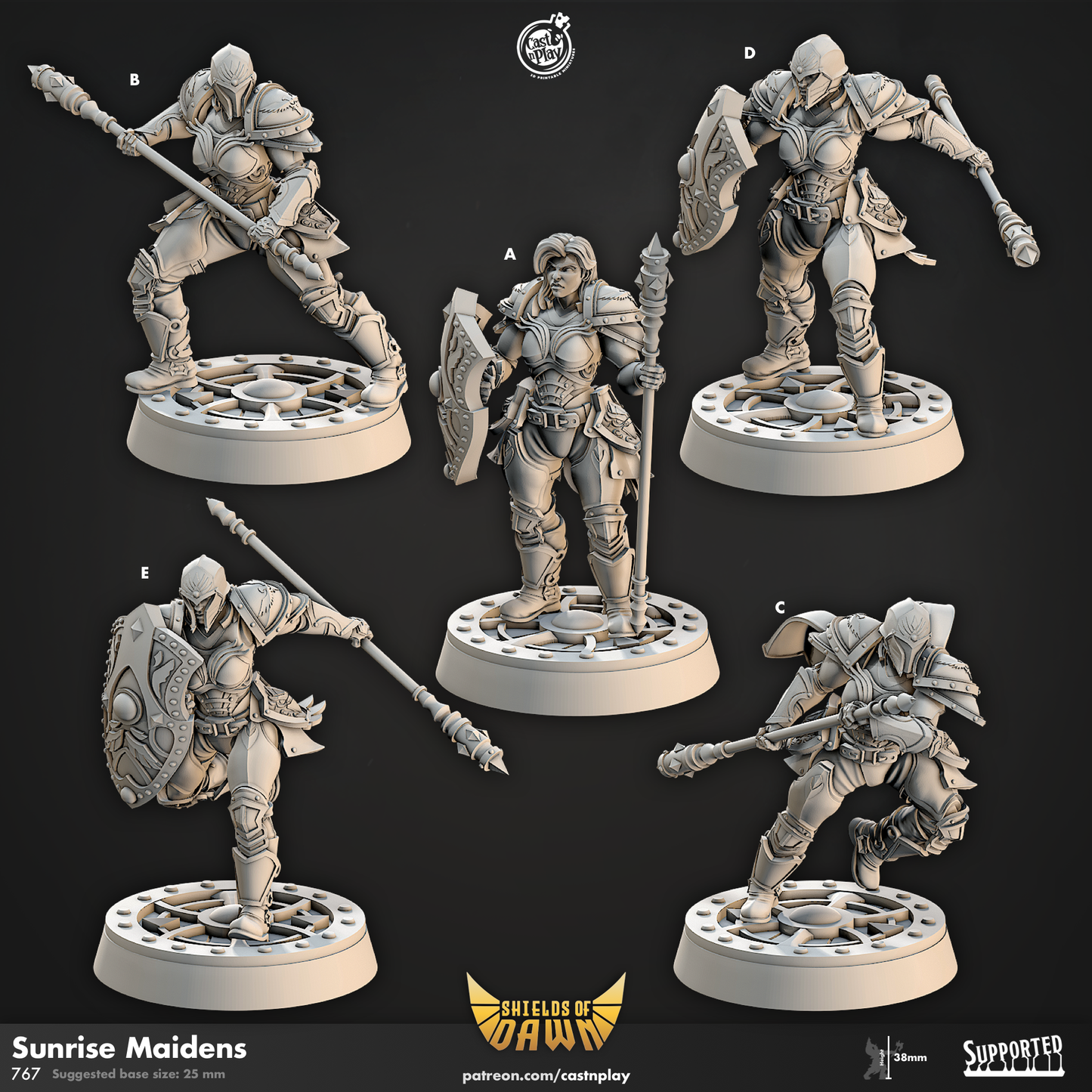 Cast n Play - Shields of Dawn 2023- December Release