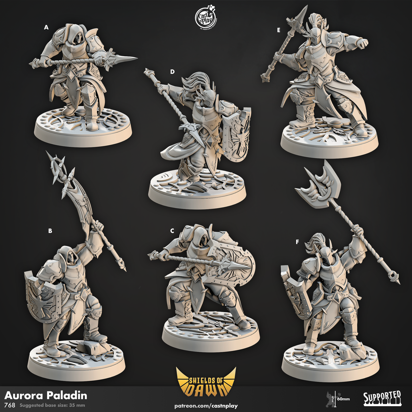 Cast n Play - Shields of Dawn 2023- December Release