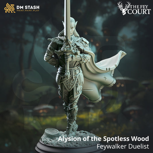 DM Stash - Alysion of the Spotless Wood Feywalker Duelist - The Fey Court 2025 May