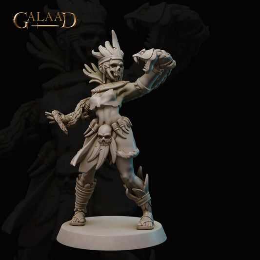 Galaad - Amazon Shaman Human Sorcerer - Amazon and Shamans 2022 Noviembre