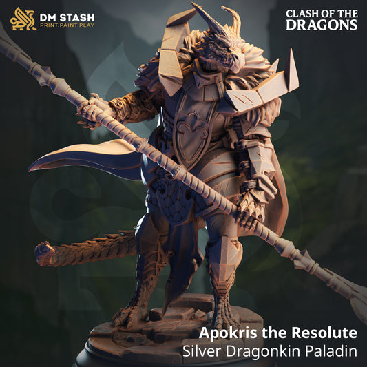 DM Stash - Apokris the Resolute, Silver Dragonborn Paladin - Clash of Dragons 2025 June