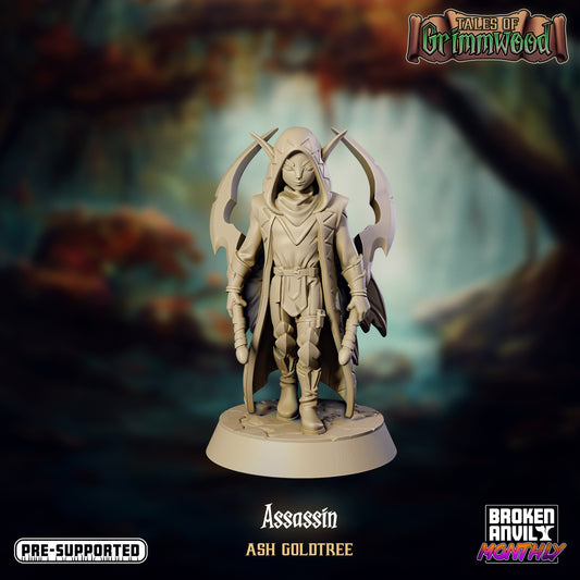 Broken Anvil - Ash Goldtree, Fey Assassin - Tales of Grimwood 2021 August