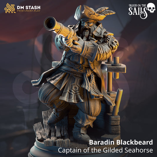 DM Stash - Baradin Blackbeard, Captain of the Gilded Seahorse - Blood on the Sails 2025 July