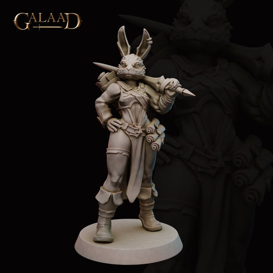 Galaad - Blattle Mage Rabbit Harengon Wizard - Mages 2023 January