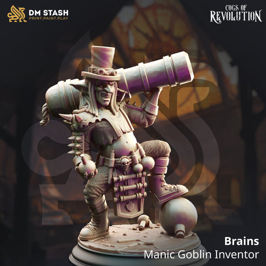 DM Stash -  Brains, Goblin Inventor - Cogs of Revolution 2025 February