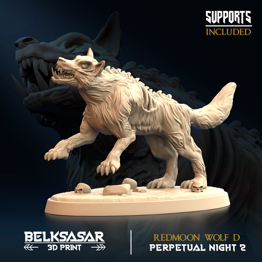 Belksasar - Redmoon Wolf D - Perpetual Night 2 - 2025 October