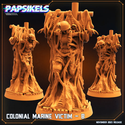 Papsikels - Colonial Marine Victim B -  2023 November