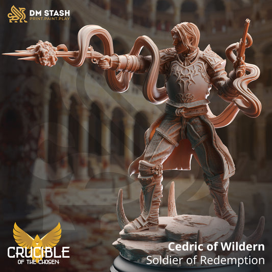 DM Stash - Cedric of Wildern, Soldier of Redemption - Crucible of the Chosen 2024 April