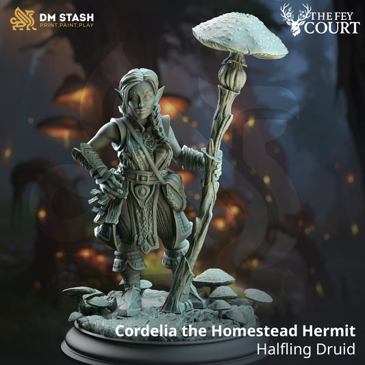 DM Stash - Cordelia the Homestead Hermit, Halfling Druid - The Fey Court 2025 May