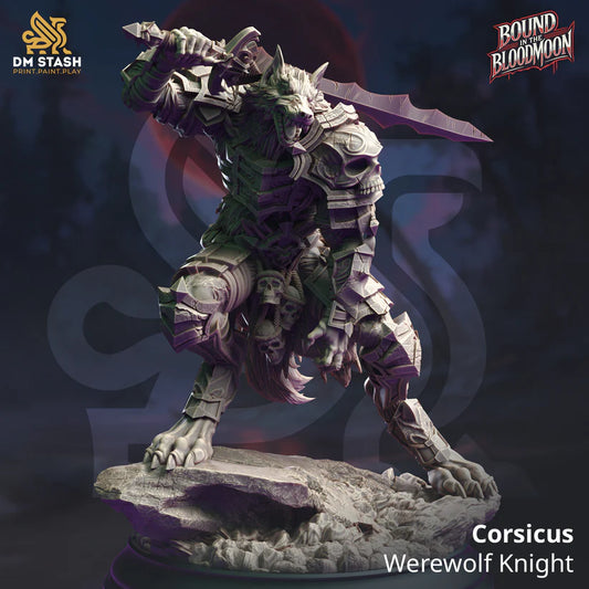 DM Stash - Corsicus Werewolf Knight - Bound in the Bloodmoon 2024 October Release