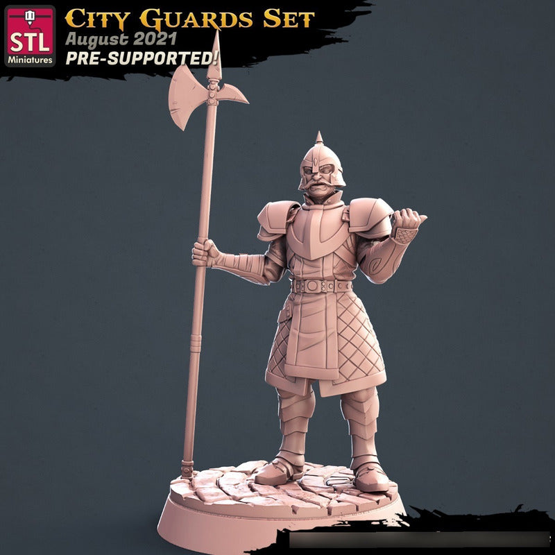STL Miniatures - City Guards A - Assasins and City Guards