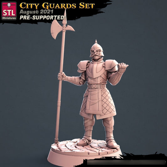 STL Miniatures - City Guards A - Assasins and City Guards