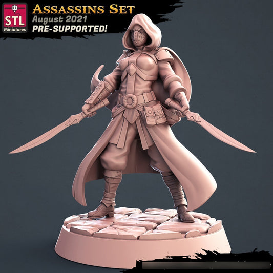 STL Miniatures - Assassin A - Assasins and City Guards
